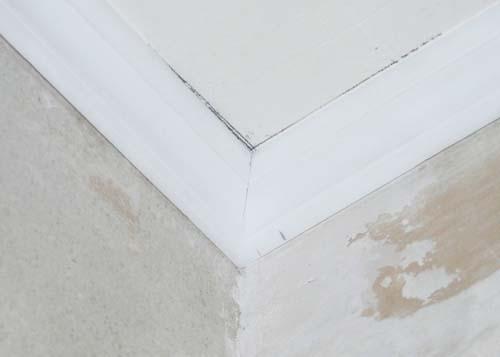 Как вырезать угол на потолочном плинтусе без стусла. Как вырезать углы без стусла?