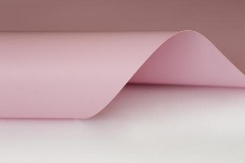 Натяжной потолок в квартире. Натяжные потолки: 85 красивых идей дизайна (фото)