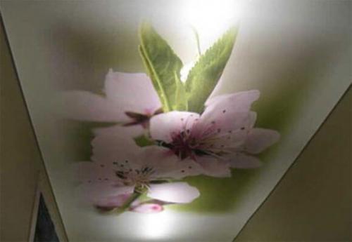 Ширина натяжного потолка без шва. Важный момент 09