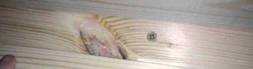 Как прибить деревянный плинтус гвоздями. Как лучше крепить деревянный плинтус