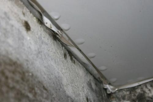 Натяжной потолок в ванной плесень. Может ли быть плесень под натяжным потолком