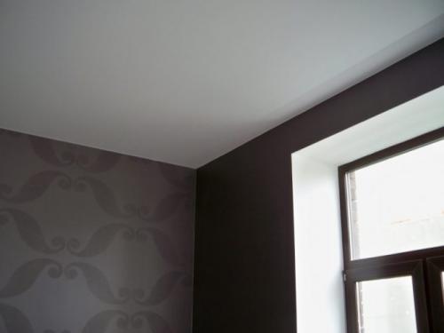 Какой потолок лучше с плинтусом или без. Что лучше: с плинтусом или без?