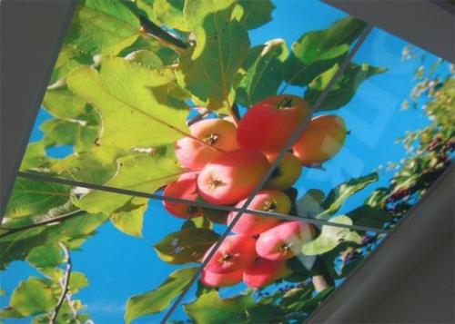 Багет потолочный для натяжных потолков. Для чего нужен багет для натяжных потолков 05