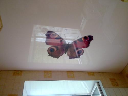 Шов на натяжном потолке. Натяжные потолки шовные — фото