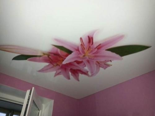 Что сначала натяжной потолок или ламинат. Что делать сначала: натяжные потолки или пол