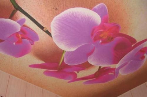 Как правильно сделать натяжной потолок в комнате своими руками. Куда и на какой высоте крепится 08 Как правильно сделать натяжной потолок в комнате своими руками. Куда и на какой высоте крепится 08